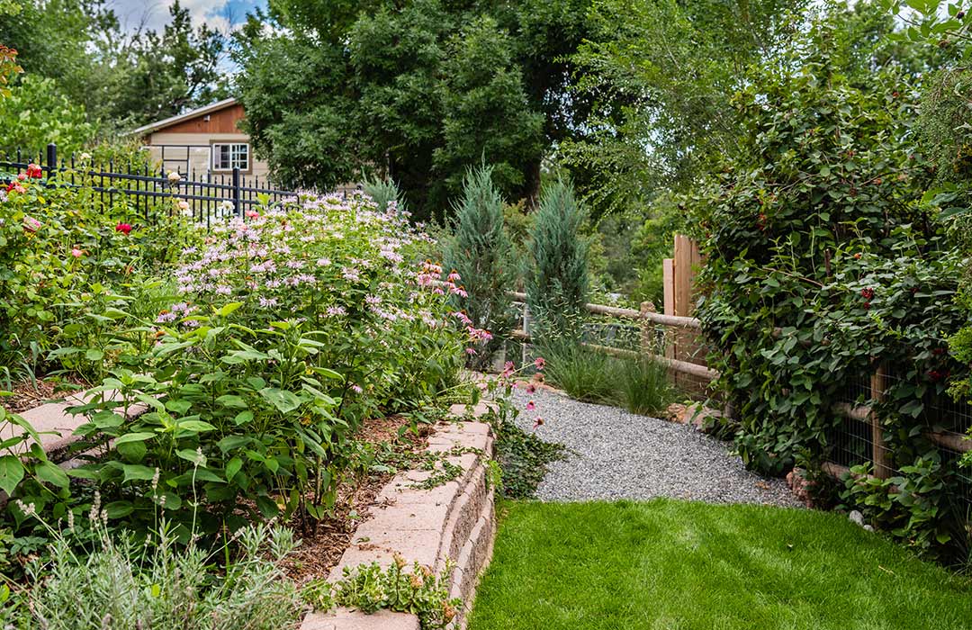 Landscape design of a backyard in Longmont that uses lawn alternatives for Colorado